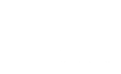 logo-container-light